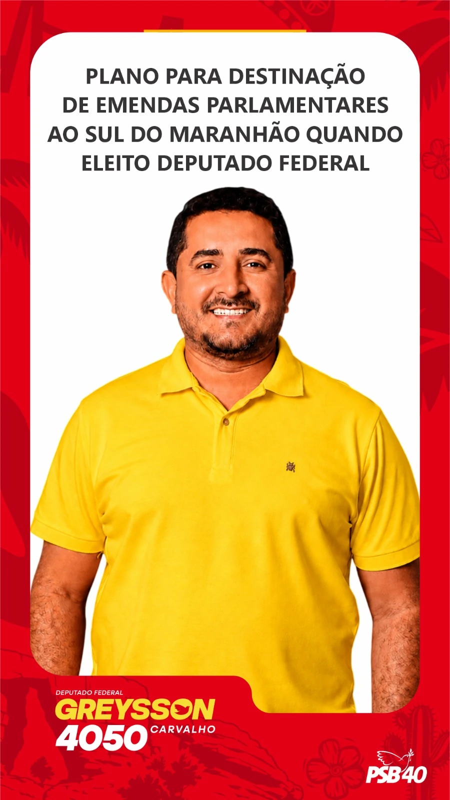 Plano para destinação de emendas parlamentares ao sul do Maranhão quando eleito deputado federal.